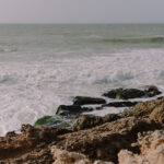 مجلس إدارة الاستزراع المائي ينهي علاقته مع مجموعة آزورا ويتوقف عن منح الشهادات في الصحراء الغربية المحتلة